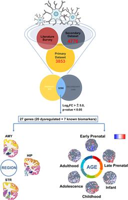 Deconvolution of Human Brain Cell Type Transcriptomes Unraveled Microglia-Specific Potential Biomarkers